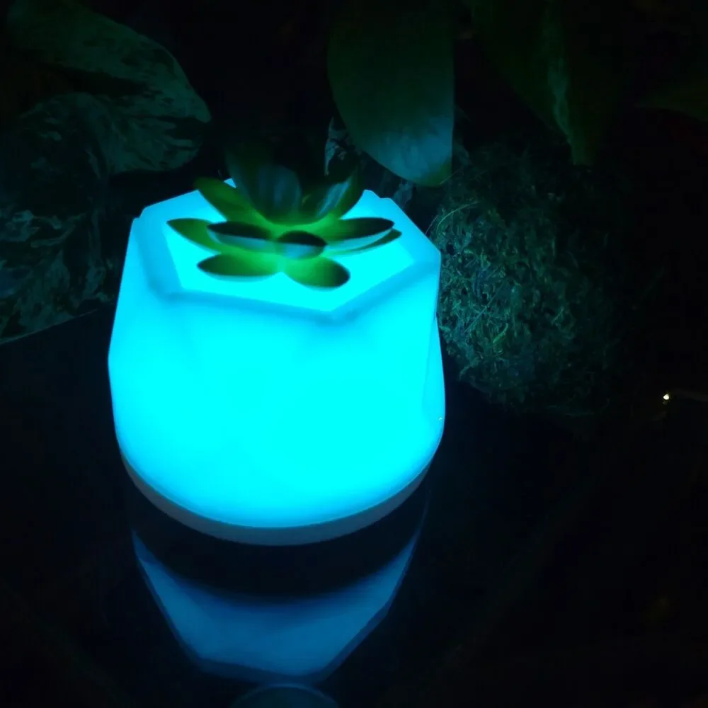 Succulent Color-Changing Night Light Lamp Waterless Essential Oil Diffuser Aroma